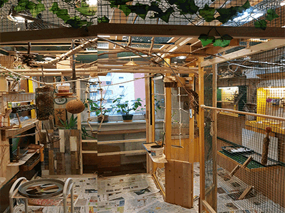 Meine Voliere Meine Voliere