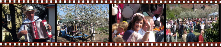 Blütenfest in Werder 2010